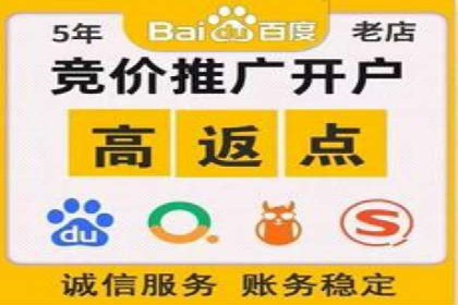 某某企业SEM推广成功案例：打造品牌营销新模式